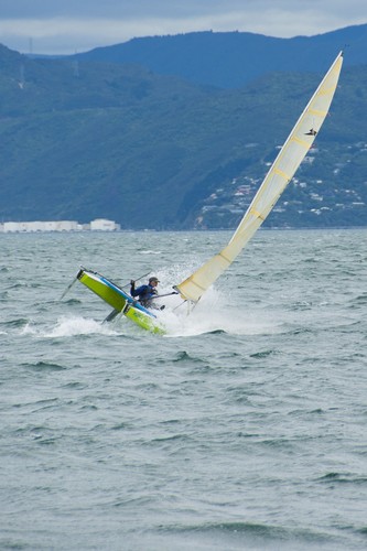 Chris Reid from Napier giving it everything - 2012 Mitre 10 Mega NZ Paper Tiger National Championships © Rachel Leatham